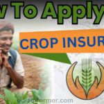 How To Apply For CROP INSURANCE
