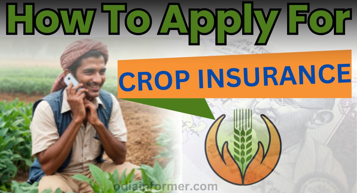 How To Apply For CROP INSURANCE