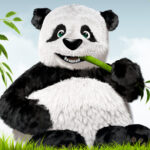 compress images