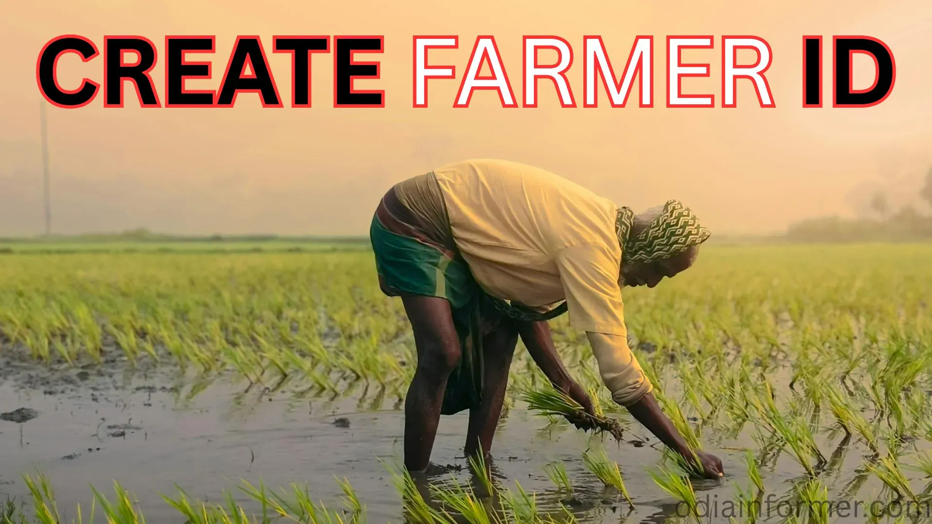 CREATE FARMER ID