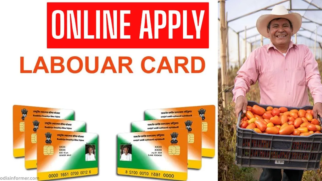 Labour Card Online Apply
