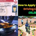 Driving License