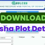 Odisha Plot Details